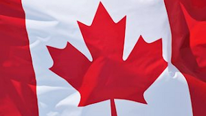 USD CAD Forecast Canadian Dollar on September 12, 2016