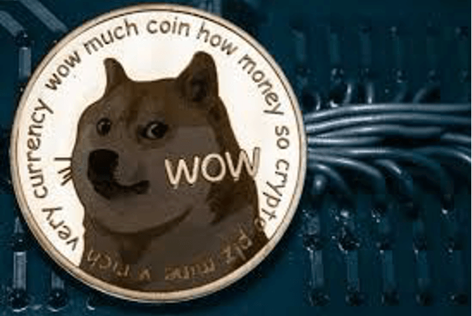 Why Investors May Lack Interest in Doge