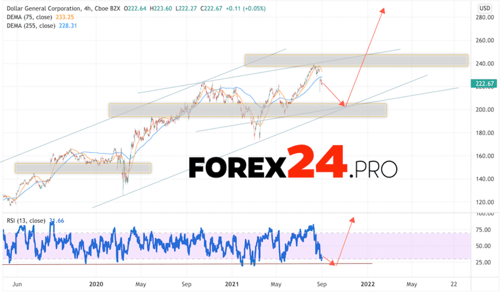 Dollar General Corporation Forecast for 2022 and 2023