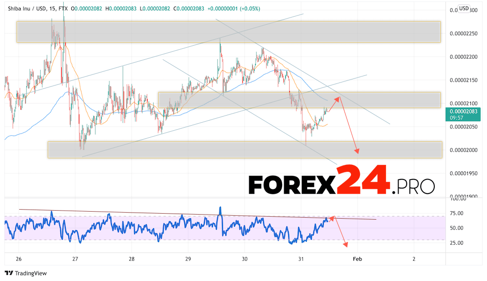 SHIBA INU Crypto Forecast February 1, 2022