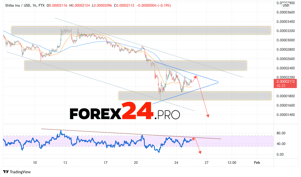 SHIBA INU Crypto Forecast January 26, 2022