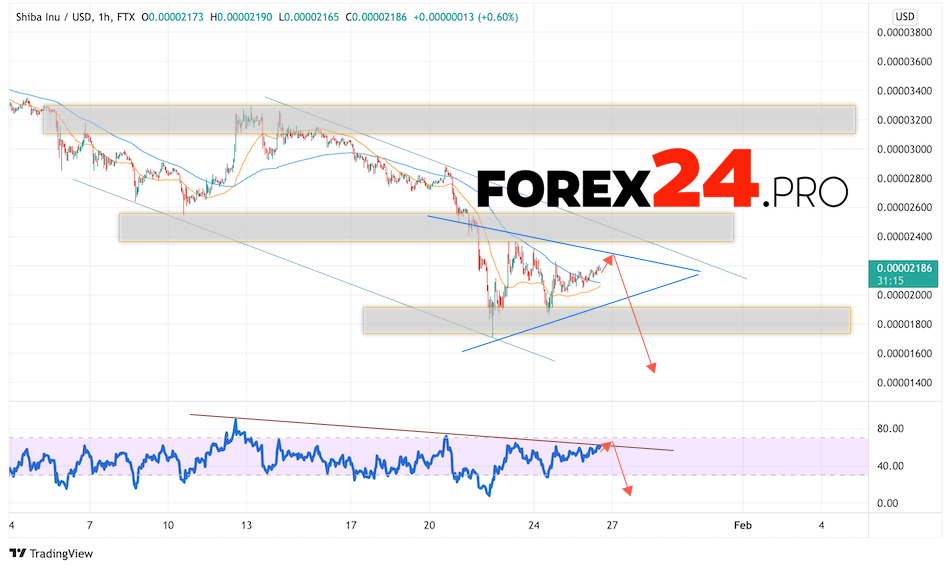 SHIBA INU Crypto Forecast January 27, 2022