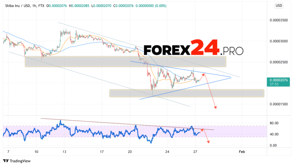 SHIBA INU Crypto Forecast January 28, 2022