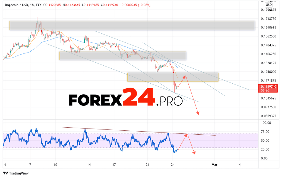 Dogecoin Forecast DOGE/USD February 25, 2022