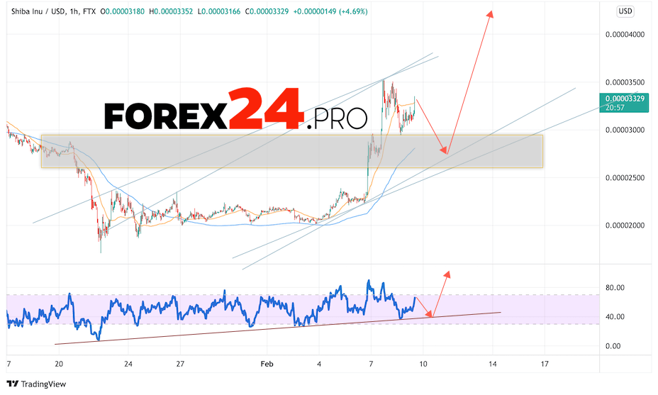 SHIBA INU Crypto Forecast February 10, 2022