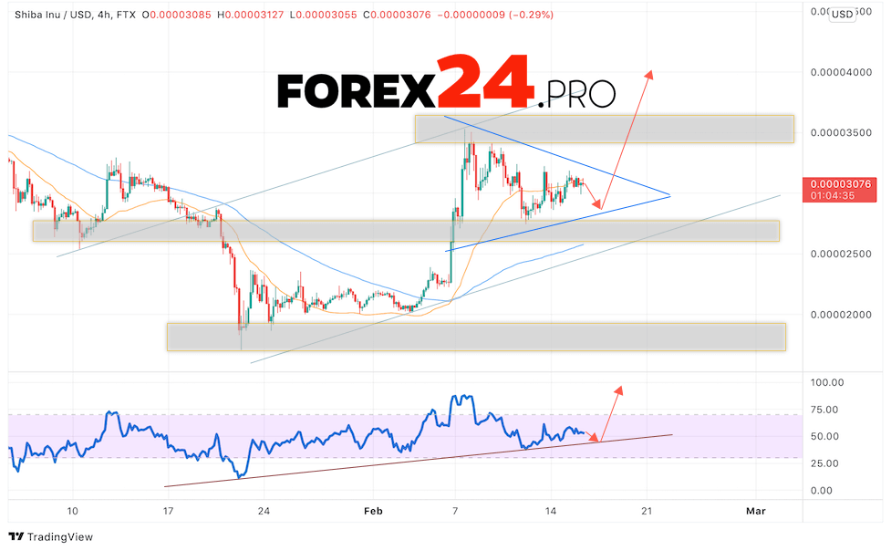 SHIBA INU Crypto Forecast February 17, 2022