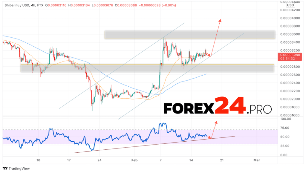 SHIBA INU Crypto Forecast February 18, 2022