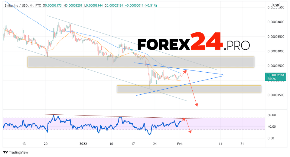 SHIBA INU Crypto Forecast February 2, 2022