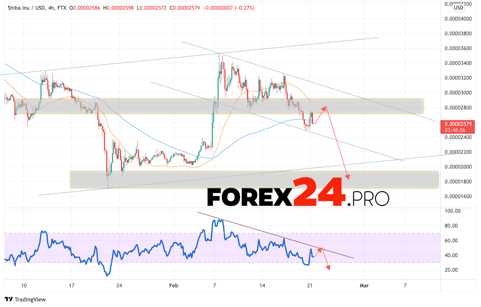 SHIBA INU Crypto Forecast February 22, 2022