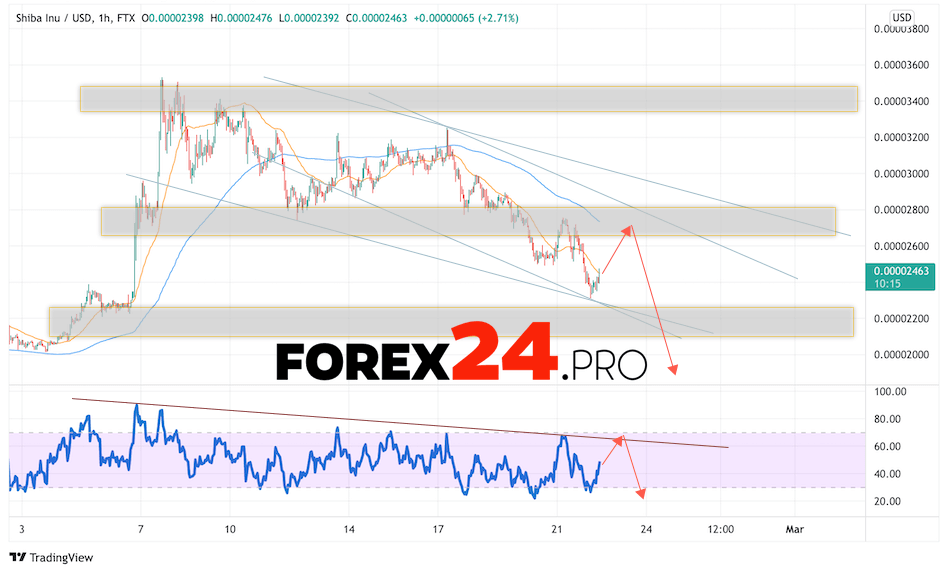 SHIBA INU Crypto Forecast February 23, 2022