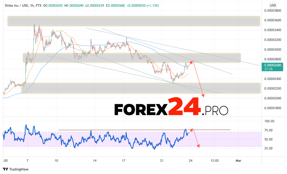 SHIBA INU Crypto Forecast February 24, 2022