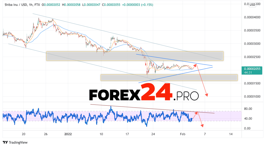 SHIBA INU Crypto Forecast February 4, 2022