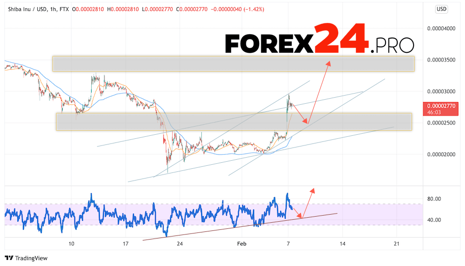 SHIBA INU Crypto Forecast February 8, 2022