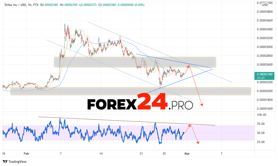 SHIBA INU Crypto Forecast March 1, 2022