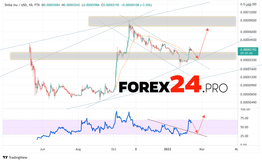 SHIBA INU Weekly Forecast February 14 — 18, 2022