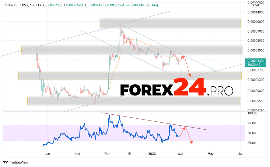 SHIBA INU Weekly Forecast February 28 — March 4, 2022