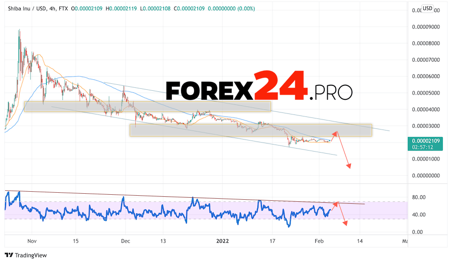 SHIBA INU Weekly Forecast February 7 — 11, 2022