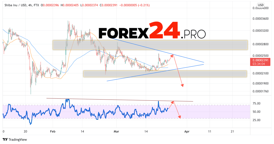 SHIBA INU Crypto Forecast March 24, 2022