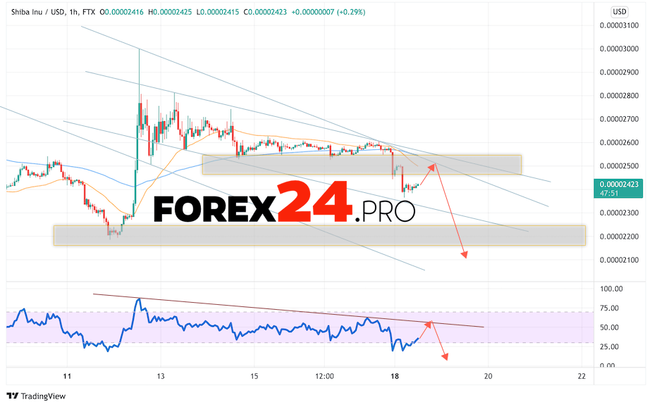 SHIBA INU Crypto Forecast April 19, 2022