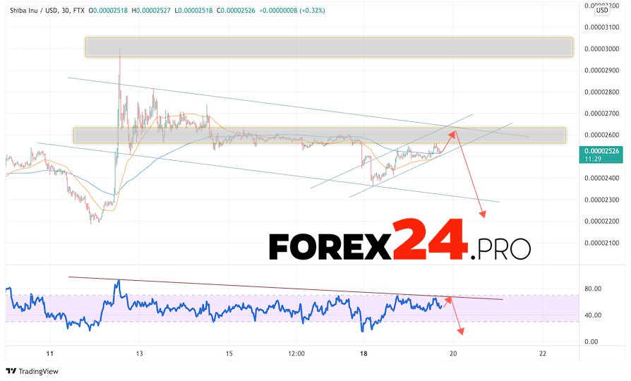 SHIBA INU Crypto Forecast April 21, 2022