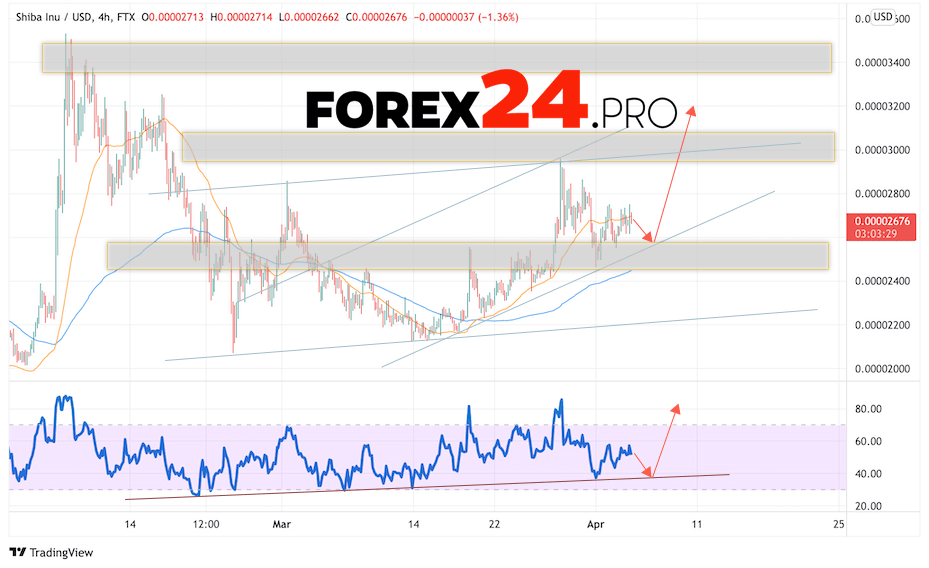 SHIBA INU Crypto Forecast April 5, 2022