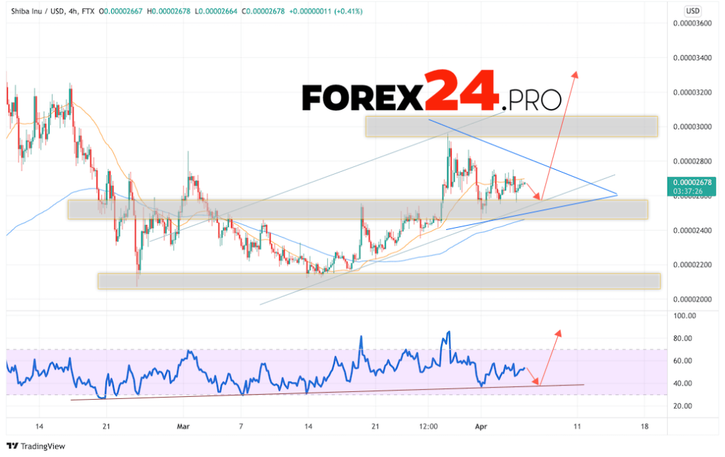 SHIBA INU Crypto Forecast April 6, 2022