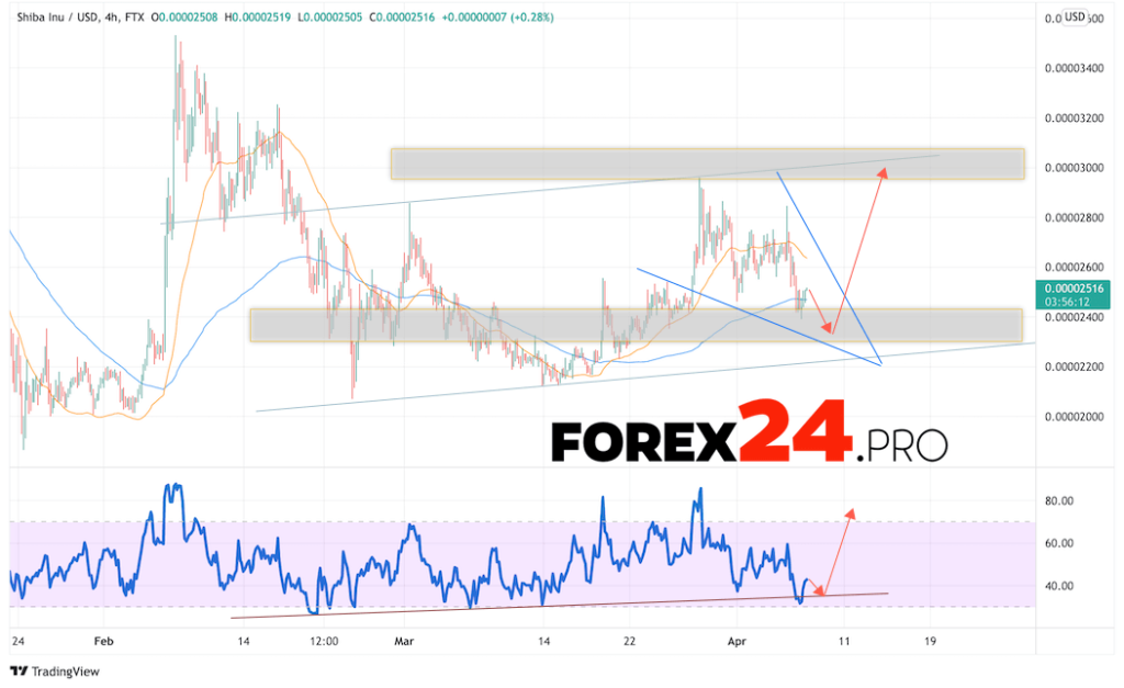 SHIBA INU Crypto Forecast April 8, 2022