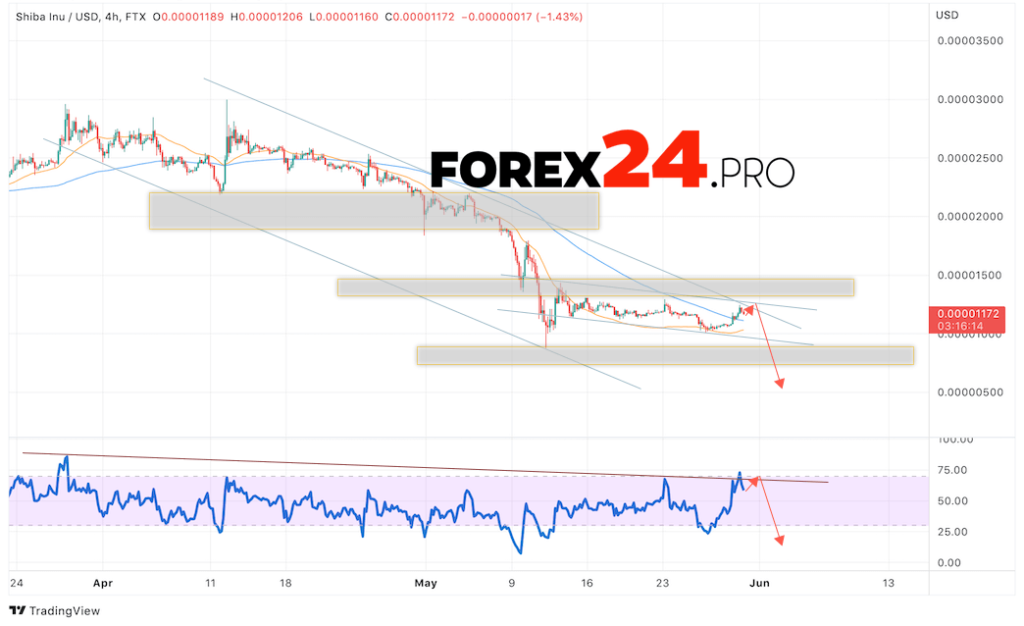 SHIBA INU Crypto Forecast June 1, 2022