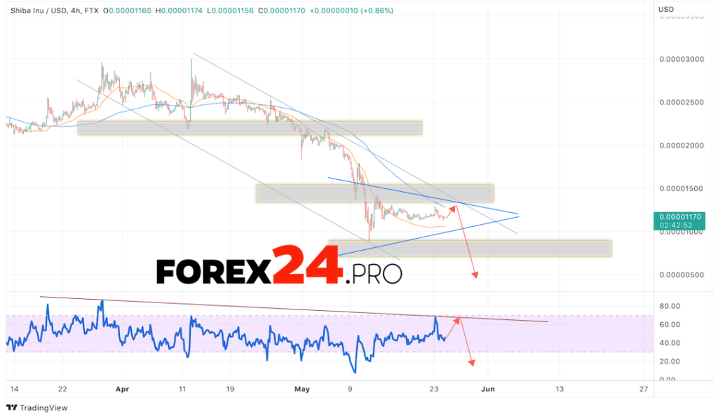 SHIBA INU Crypto Forecast May 26, 2022