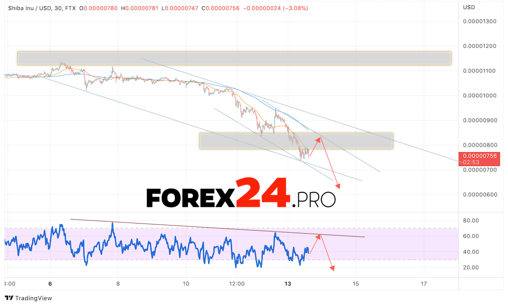 SHIBA INU Crypto Forecast June 14, 2022