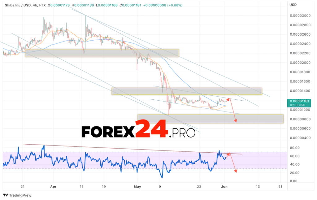 SHIBA INU Crypto Forecast June 3, 2022