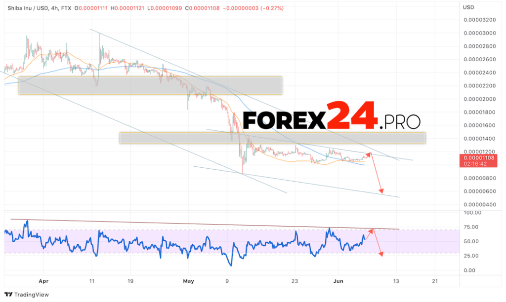 SHIBA INU Crypto Forecast June 7, 2022