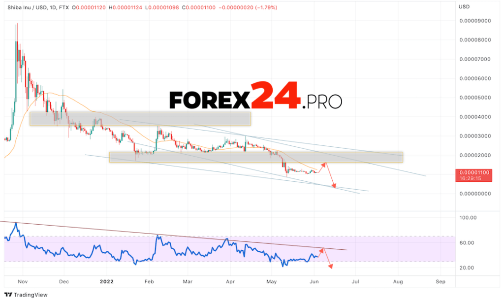 SHIBA INU Weekly Forecast June 6 — 10, 2022