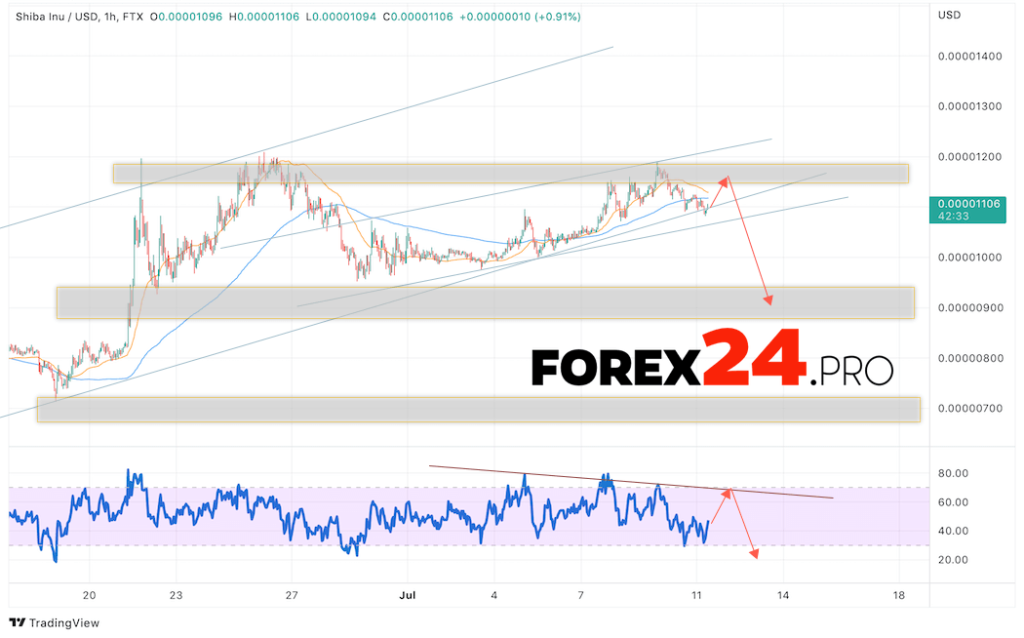 SHIBA INU Crypto Forecast July 12, 2022