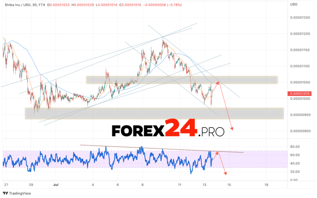 SHIBA INU Crypto Forecast July 14, 2022