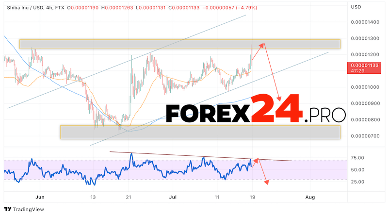 SHIBA INU Crypto Forecast July 20, 2022