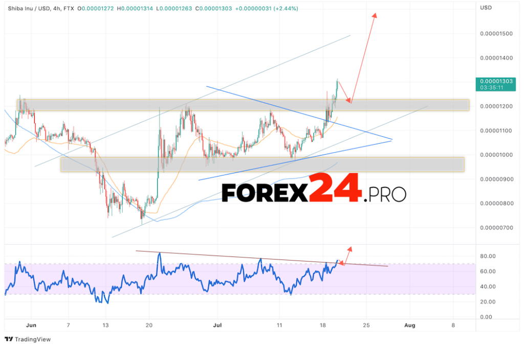 SHIBA INU Crypto Forecast July 21, 2022