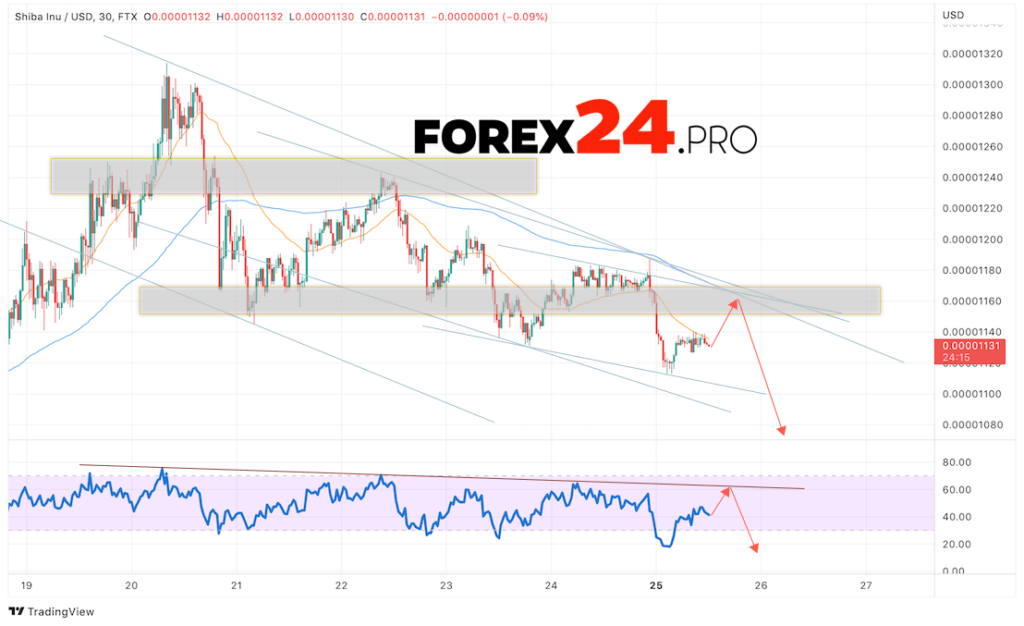 SHIBA INU Crypto Forecast July 26, 2022