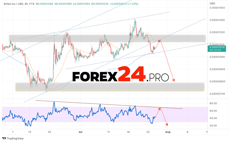 SHIBA INU Crypto Forecast July 28, 2022