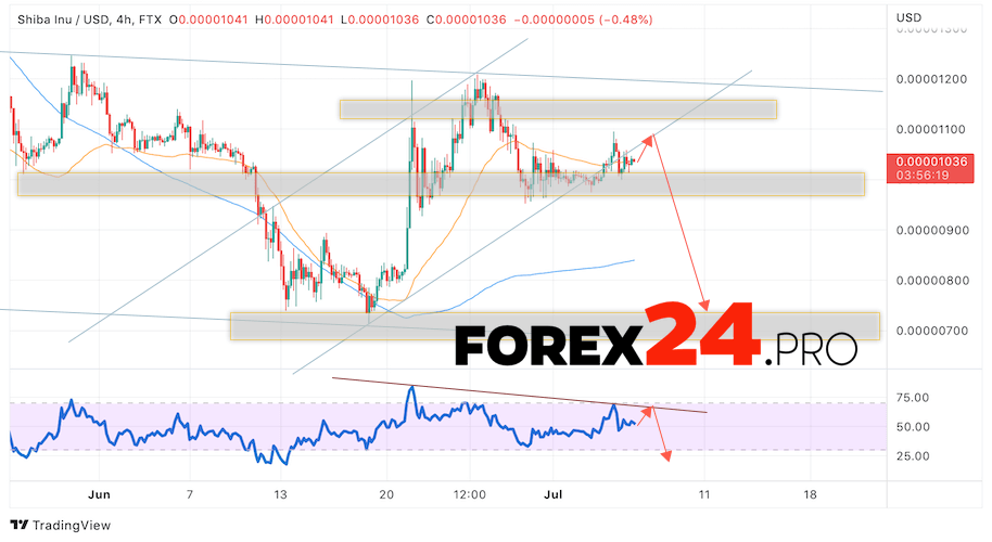 SHIBA INU Crypto Forecast July 7, 2022