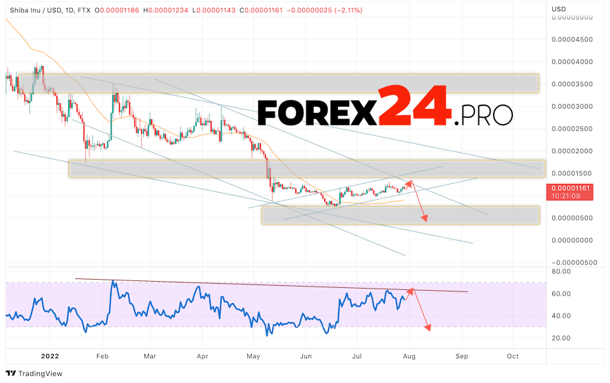 SHIBA INU Weekly Forecast August 1 — 5, 2022