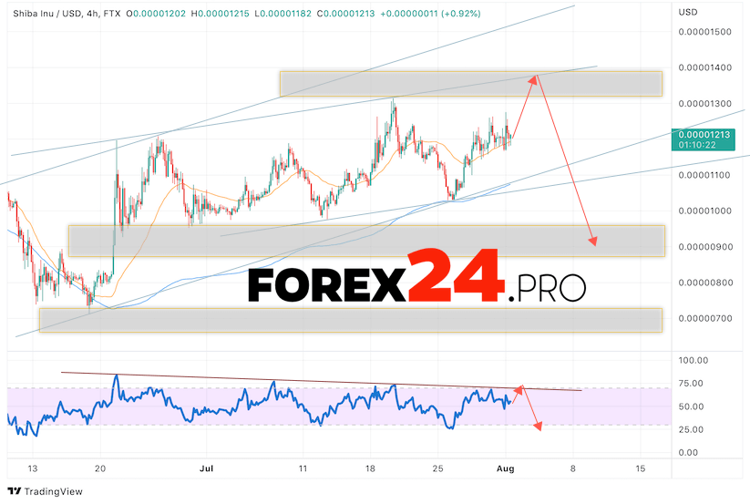 SHIBA INU Crypto Forecast August 2, 2022