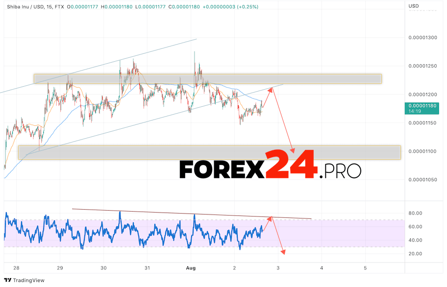 SHIBA INU Crypto Forecast August 3, 2022