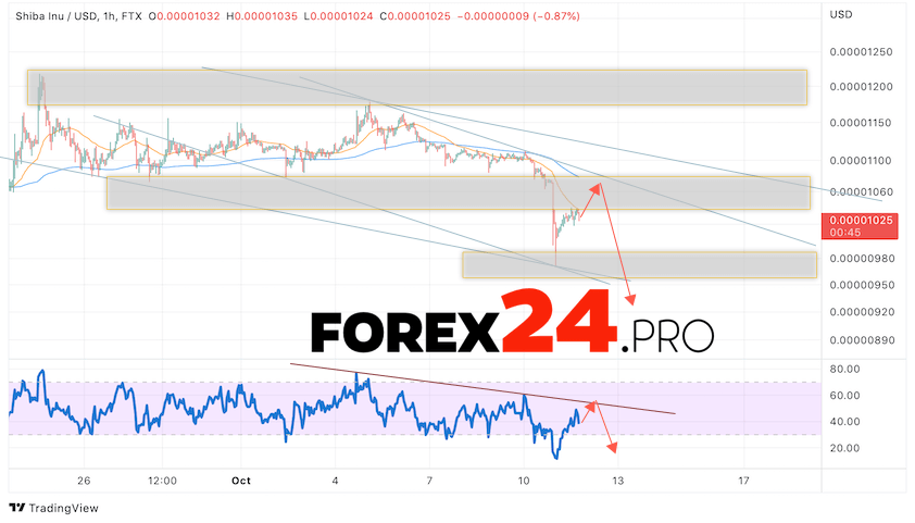 SHIBA INU Crypto Forecast October 13, 2022