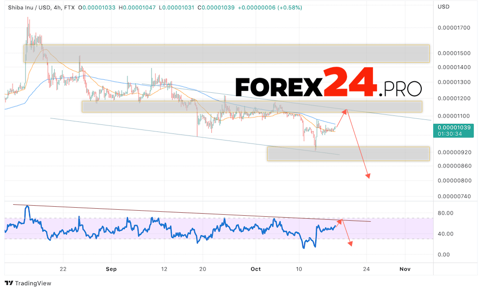 SHIBA INU Crypto Forecast October 18, 2022