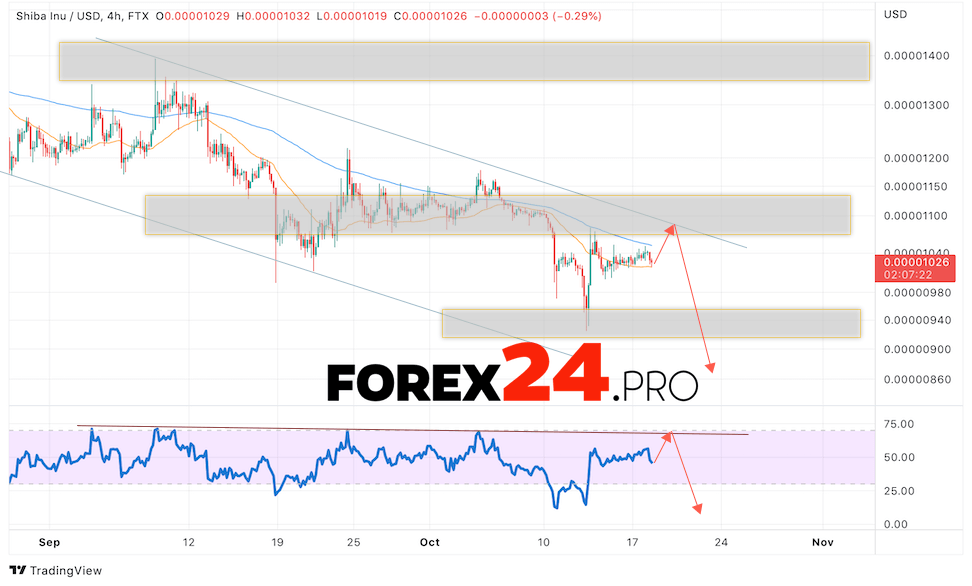 SHIBA INU Crypto Forecast October 19, 2022