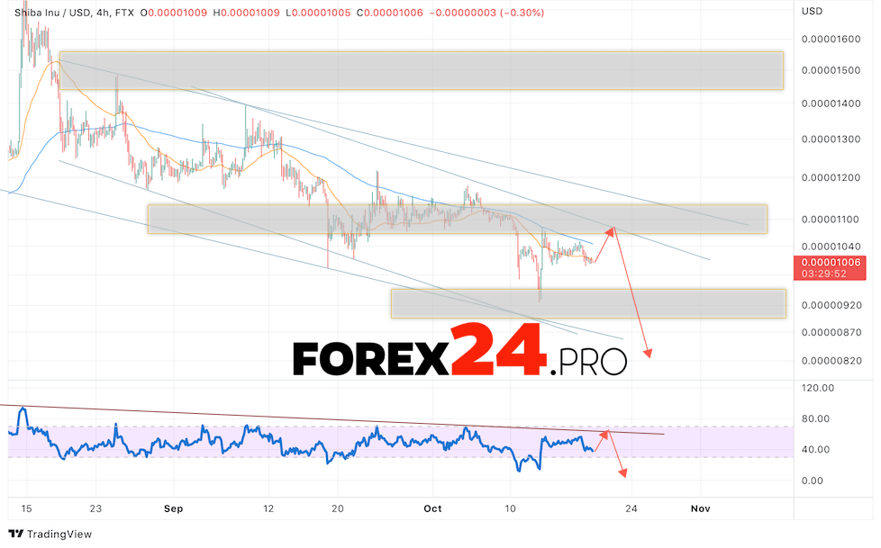 SHIBA INU Crypto Forecast October 20, 2022