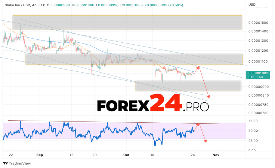 SHIBA INU Crypto Forecast October 25, 2022