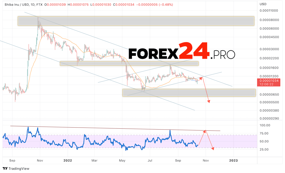 SHIBA INU Weekly Forecast October 17 — 21, 2022