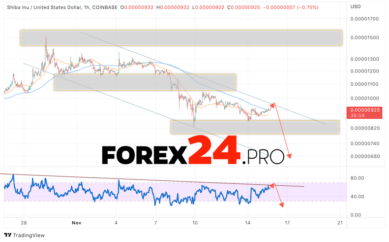 SHIBA INU Forecast November 16, 2022